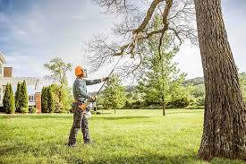 Best Fruit Tree Pruning  in Eagle Lake, TX